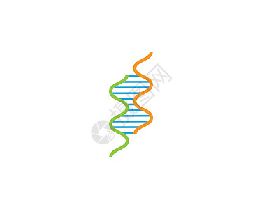 基因符号向量 ico身份公司科学遗传标识化学生活插图白色染色体背景图片