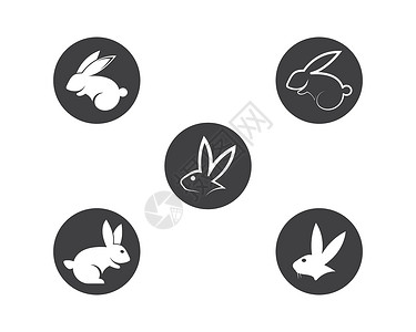 白色兔子兔子矢量 ico黑色白色标识草图野生动物网络动物农场艺术插图插画