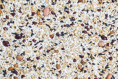 黑白棋格边框在白色背景上被孤立的袋中 玉米内核种子和谷物的边框背景