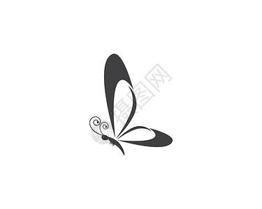 蝴蝶矢量 ico插图艺术白色收藏商业昆虫翅膀标识绿色黑色背景图片