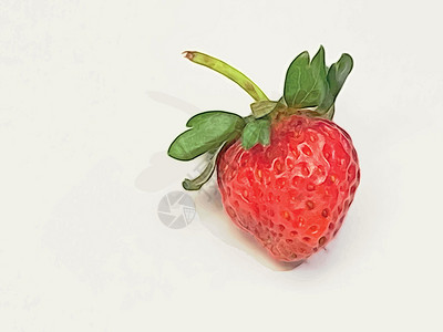 草莓熟了特写了孤立在白色背景上的草莓饮食营养浆果果味甜点水果食物墙纸团体种子插画