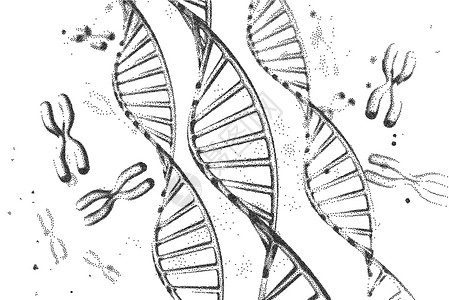 基因组学家族基因基因操作高清图片