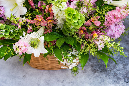 夏季花卉成分百合植物群风格作品绣球花装饰花瓣背景图片