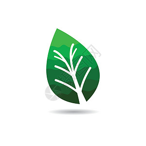 绿叶背景矢量图标它制作图案环境活力树叶生态插图森林绿色季节海报小册子背景图片