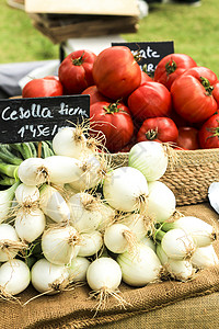 拉瓦尔团体番茄高清图片