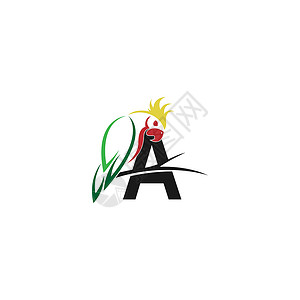 字母 A 与鹦鹉鸟图标标志设计 vecto背景图片