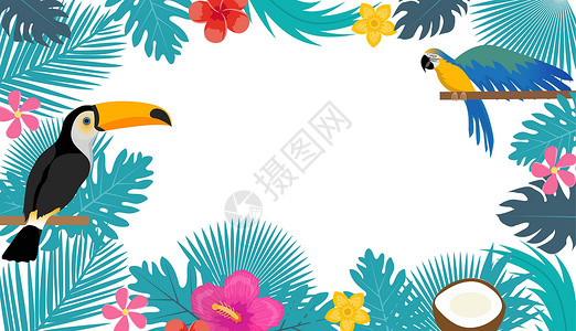 椰子开花带有文本空间的夏季热带背景 Toco Toucan和Macaw在热带叶框模板上为您设计 矢量图示插画
