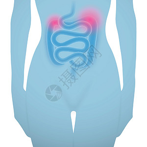 肠病的女人剪影解剖学营养素冒号伤害便秘养分器官身体蓝色疼痛背景图片