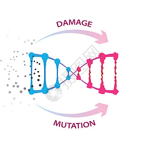 导致DNA损伤和突变的外部因素化学免疫氧化压力教育科学处方细胞细菌功能设计图片