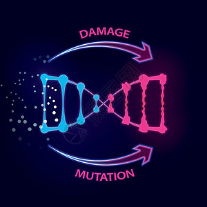 致癌物质导致DNA损伤和突变的外部因素制药细胞肠子处方胆量压力癌症治疗科学功能设计图片