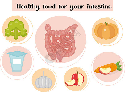 有益于肠道的健康食品 食物和维生素 药物 消化系统疾病预防的概念 矢量图背景图片