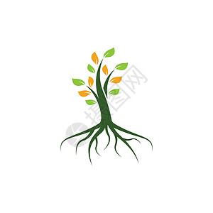 树符号矢量 ico绘画标识生态植物学叶子插图森林植物环境生活背景图片