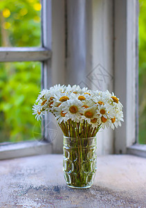 透明花瓶素材花朵装在一个透明玻璃罐子里雏菊桌子草本植物卡片季节植物场地花瓶甘菊问候语背景