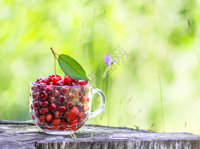 在树桩上一个透明的杯子里放出樱桃和草莓 在夏日花园里新鲜的红水果农业花园甜点农民美食杂货叶子营养市场阳光背景