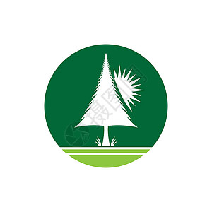 松树徽标图像它制作图案绿色手绘木头荒野标识森林商业背景图片