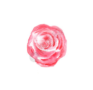 玫瑰花的水彩插图高清图片