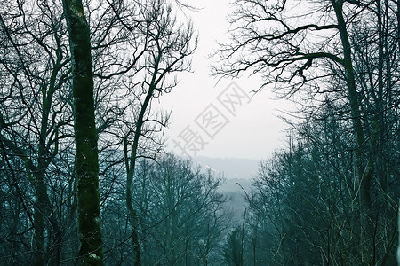 拉加尔拉脱维亚 东欧的冬季风景白色雪堆季节水平旅行花园季节性乡村大雪村庄背景