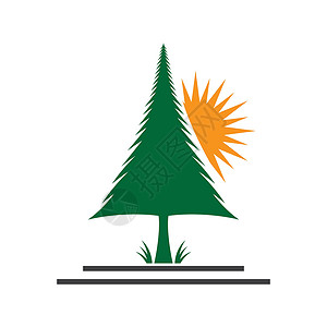 松树徽标图像它制作图案手绘标识商业木头绿色森林荒野背景图片