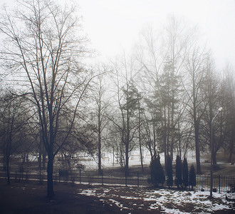 公园雾福吉冬日公园木头情绪天气旅行森林下雨分支机构城市薄雾背景