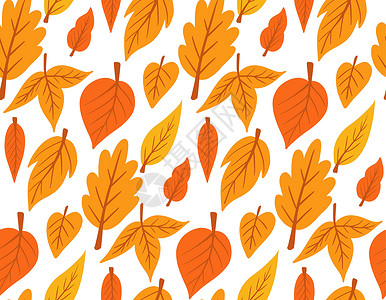 香菜叶子秋叶落叶的秋叶无缝圆顶印 矢量插图插画