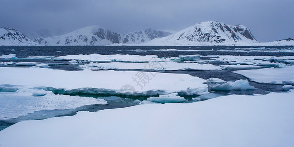 挪威斯瓦尔巴北极 挪威斯瓦尔巴的漂浮冰雪山海岸海洋生态气候变化荒野冰山栖息地环境保护野生动物自然保护背景图片