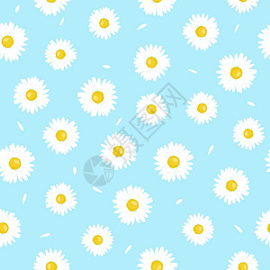 洋甘菊花花瓣无缝图案 简单的夏季模式背景图片