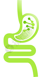 胃肠道 肠胃 消化道 胃图标 插图食管饮食诊所保健消化解剖学身体冒号药品科学背景图片