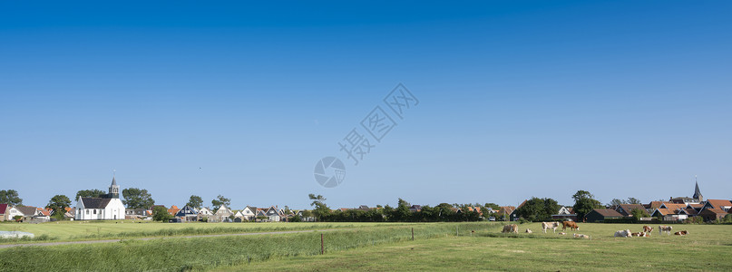 加杜斯莫华杜奇岛特克塞尔岛背景中的牛群和乌代斯柴尔德村草原景观背景