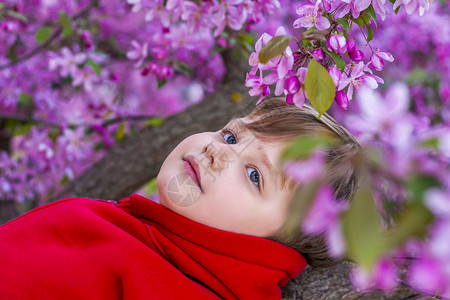 一个孩子在粉红色的苹果花中的画像 苹果树开花了 苹果园的春天开花 演示文稿 海报 横幅和贺卡的背景螃蟹男生花瓣公园风格女性晴天问背景图片