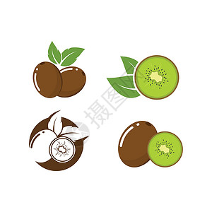 产品猕猴桃猕猴桃图标矢量插图设计叶子健康甜点产品热带水果食物蔬菜花园生态插画