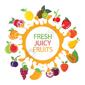 素食设计素材新鲜多汁的水果矢量图设计模板设计图片
