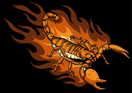 蝎子卡通与火焰矢量图设计沙漠插图学习生物毒液荒野卡通片工作室大草原爪子背景图片