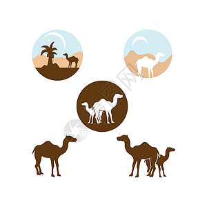 撒哈拉游牧民族骆驼图标矢量插图设计模板运输动物文化野生动物大篷车荒野黑色单峰游牧民族旅行插画