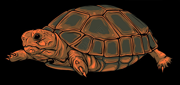 棱黑色背景龟上的卡通矢量 矢量插画