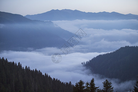 阿兰达村屋迷雾森林高清图片