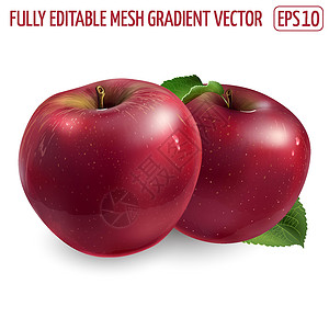 两个苹果两个成熟的红苹果 在白色背景上水果甜点食物美食饮食创造力插图包装味道营养插画
