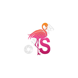 美国西部鸟类带有字母 S 标志设计 vecto 的火烈鸟鸟图标插画