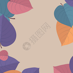 浅背景的现实秋天叶     矢量花园橡木季节横幅插图植物学艺术森林植物框架背景图片