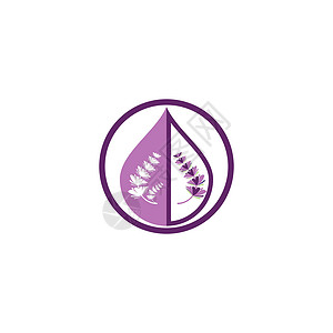 薰衣草 Logo 模板矢量符号芳香草本植物白色紫色草本香气疗法花园植物叶子背景图片