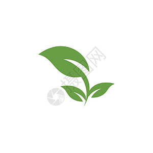 叶标志模板矢量符号生态插图环境装饰品叶子生长绿色植物生物背景图片