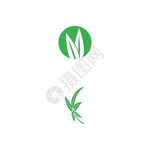 叶标志模板矢量符号自然装饰品环境叶子绿色植物生长插图生态生物背景图片