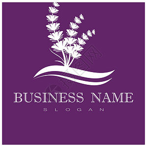 薰衣草 Logo 模板矢量符号叶子花园香气植物紫色疗法白色花束草本植物芳香背景图片