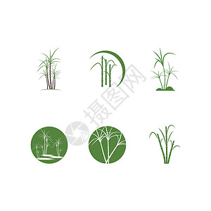 甘蔗树甘蔗标志模板 vecto叶子果汁植物绿色颗粒状生物收成贴纸标识横幅插画