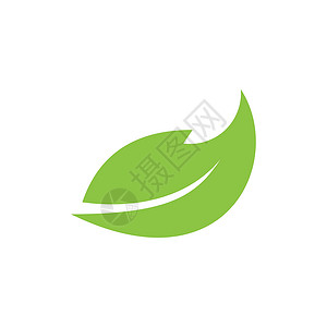 树叶组成体绿色树叶生态自然元素的标志商业生长回收环境品牌公司平衡推广艺术企业设计图片