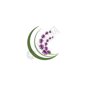 薰衣草 Logo 模板矢量符号花园草本香气白色花束紫色疗法植物芳香草本植物背景图片