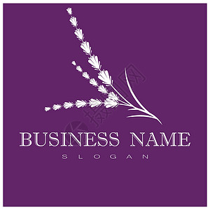 薰衣草 Logo 模板矢量符号白色疗法香气芳香草本植物紫色草本植物花园花束背景图片
