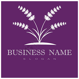 薰衣草 Logo 模板矢量符号草本植物疗法草本紫色花束香气花园芳香白色叶子背景图片