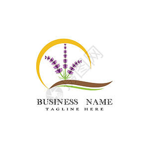 薰衣草 Logo 模板矢量符号花园植物花束草本疗法叶子芳香白色草本植物紫色背景图片