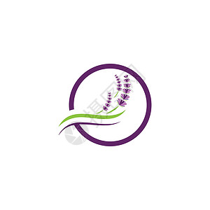薰衣草 Logo 模板矢量符号花束香气白色芳香花园叶子草本植物植物紫色草本背景图片