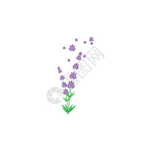 薰衣草 Logo 模板矢量符号白色紫色香气芳香花束花园疗法植物草本草本植物背景图片